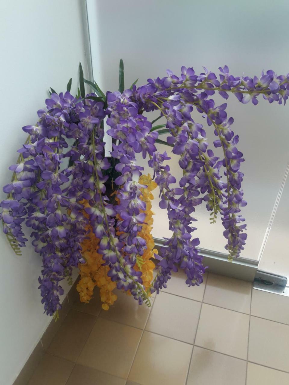 Hotel Casa Jardin Asuncion Dış mekan fotoğraf